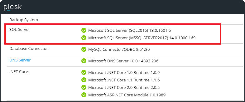 Microsoft Sql Server Runtime